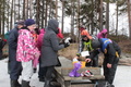 Punnitus oli tarkkaa hommaa. Aprillipäivä ei saanut vaikuttaa tuloksiin.