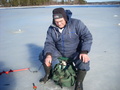Olavilla on kotikenttäetu. Elosaaren rannat taustalla.